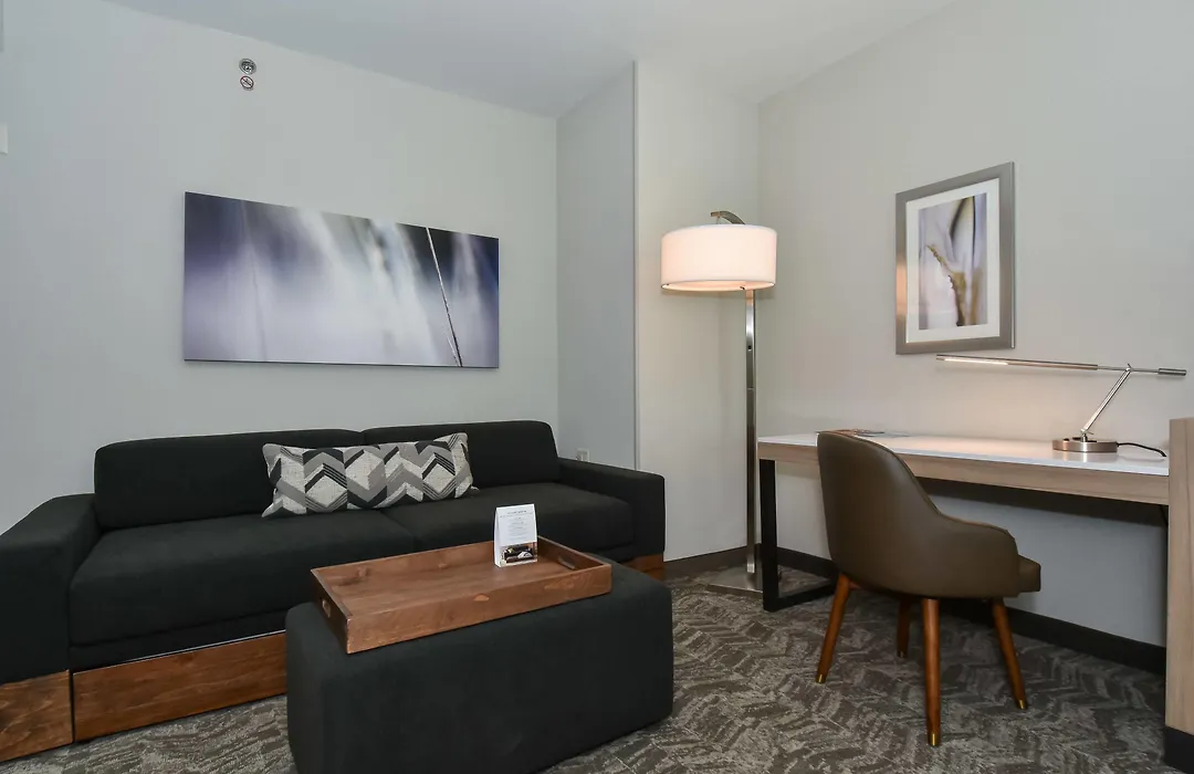 Springhill Suites By Marriott Charlotte City Center-1